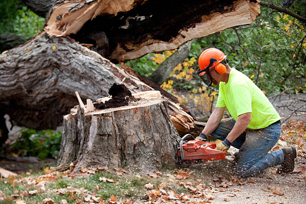 Mulching Services in Rutland, VT